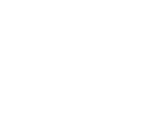 Falcon Electric Aviation